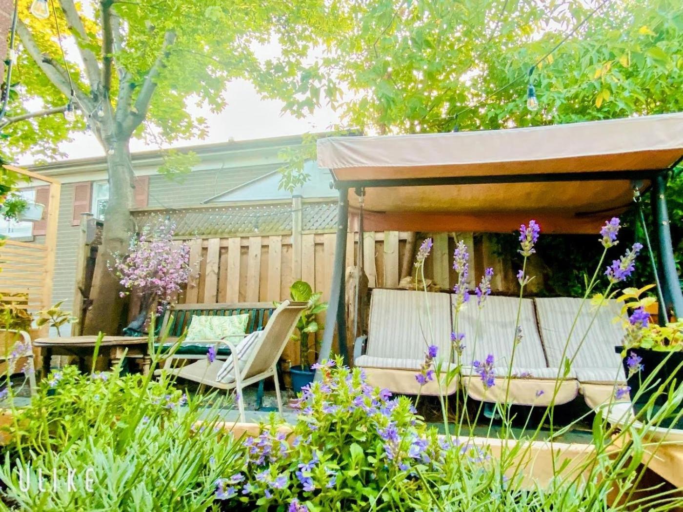 Toronto Bed & Breakfast - Free Parking Esterno foto