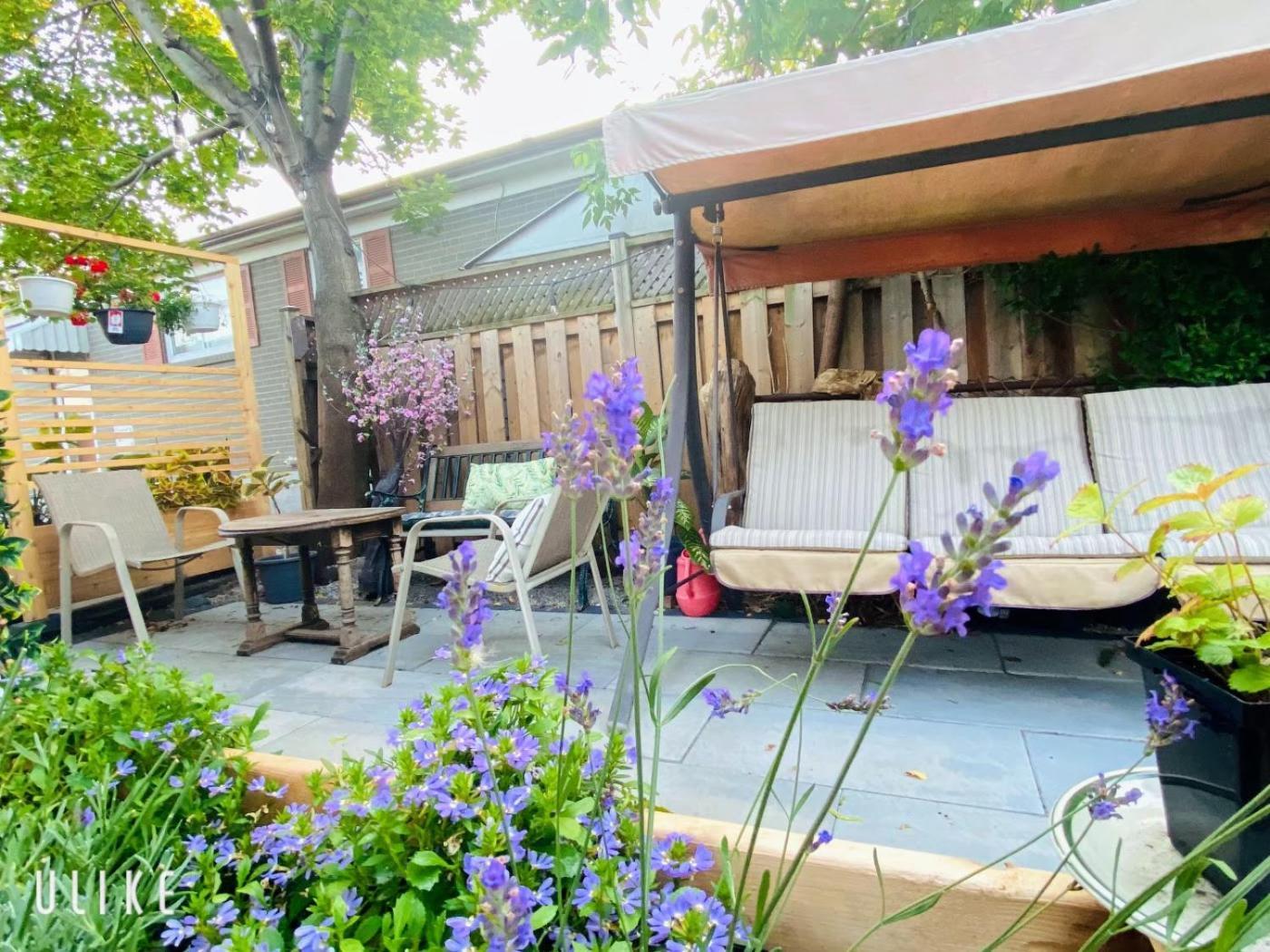 Toronto Bed & Breakfast - Free Parking Esterno foto