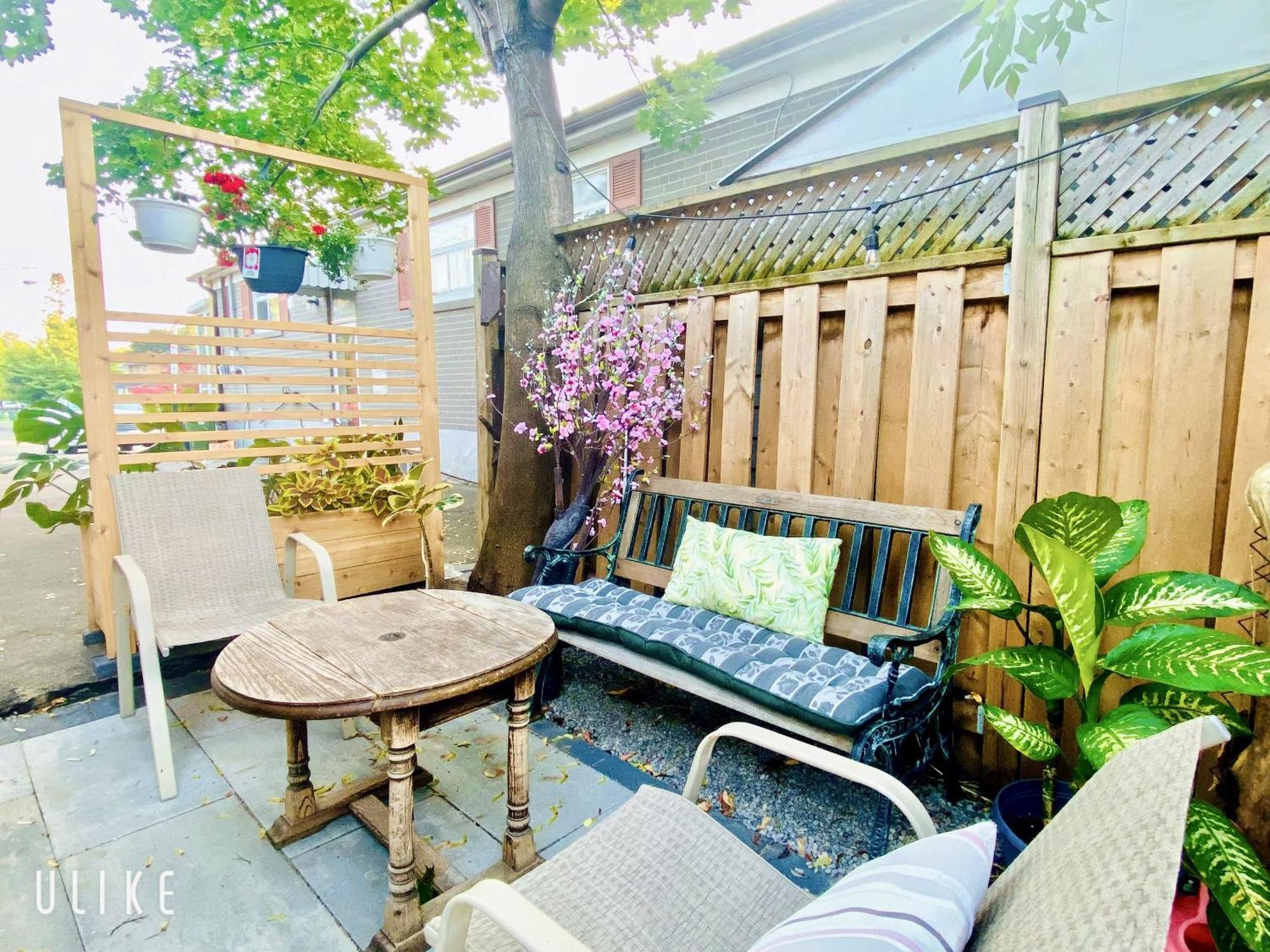Toronto Bed & Breakfast - Free Parking Esterno foto